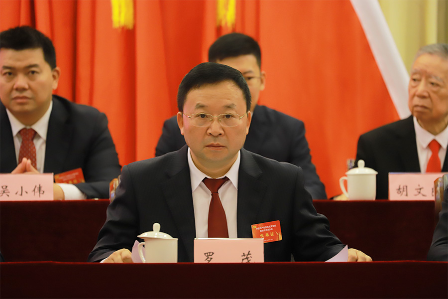 罗书记.jpg